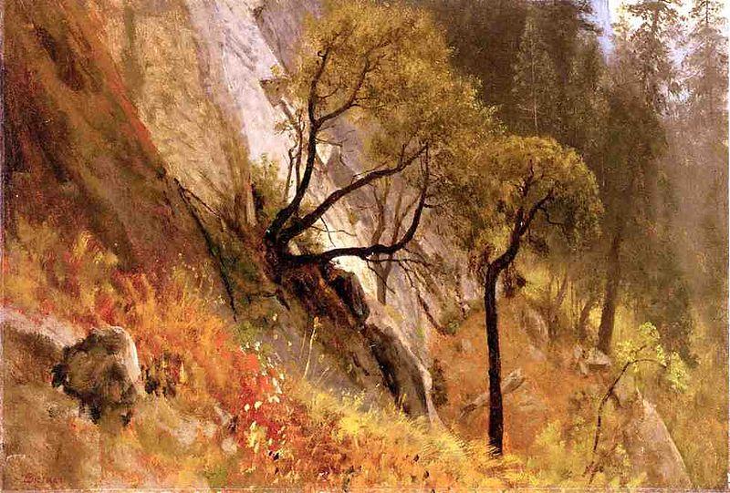 Albert Bierstadt Landscape Study, Yosemite California oil painting picture